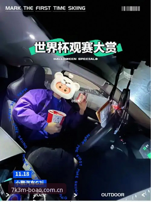 资深用户分享：世界杯观赛签证危机下的真实体验与行业冷思考